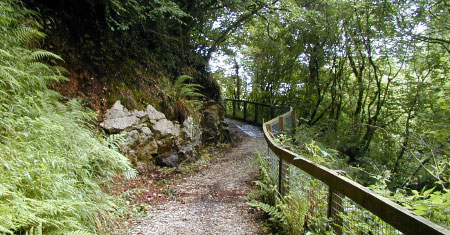 Cranny-Falls,-Carnlough