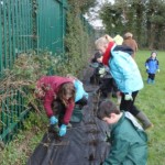 Hedgerow Grow West Success Story - Ballykelly